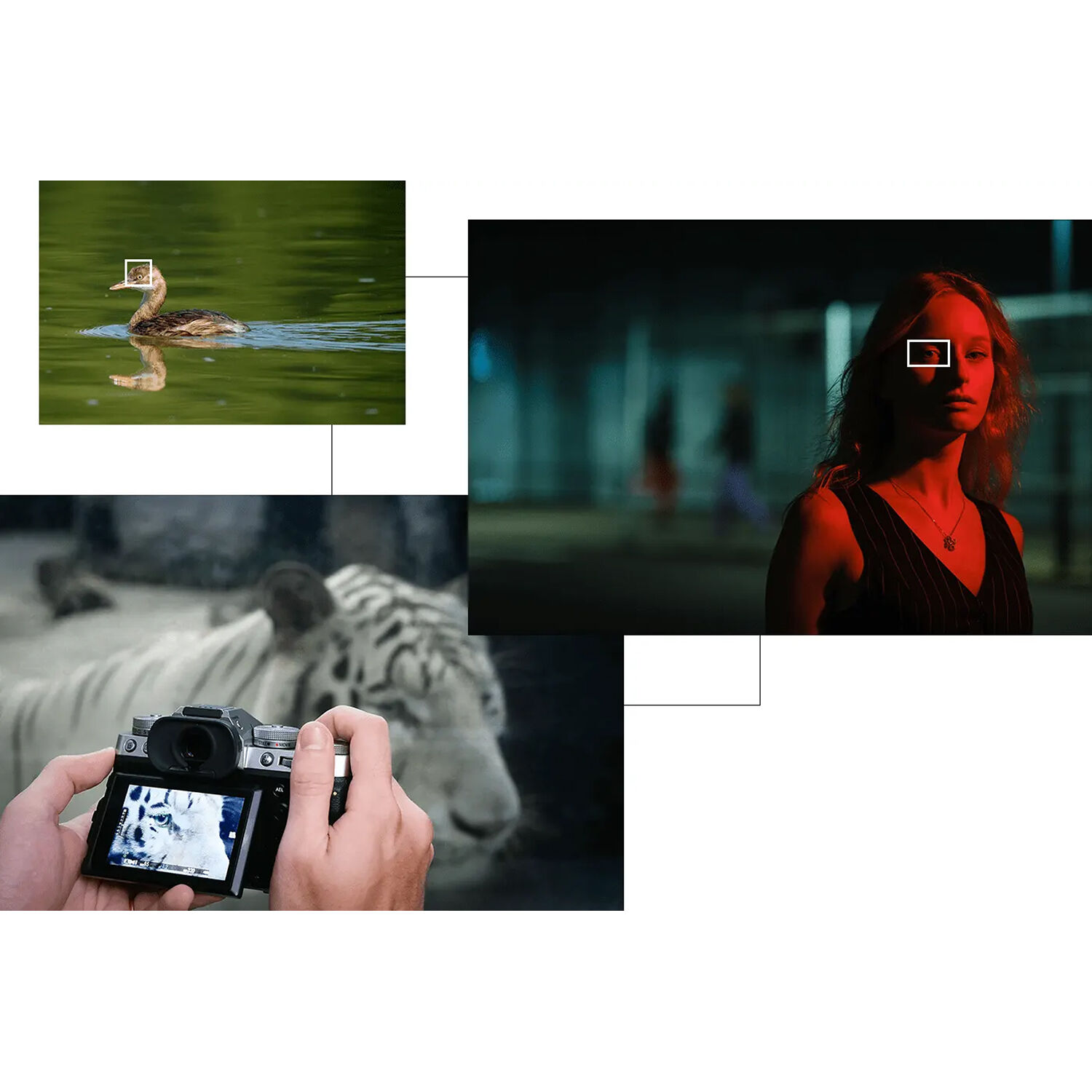 FUJIFILM X-T5 Mirrorless Camera (Silver)