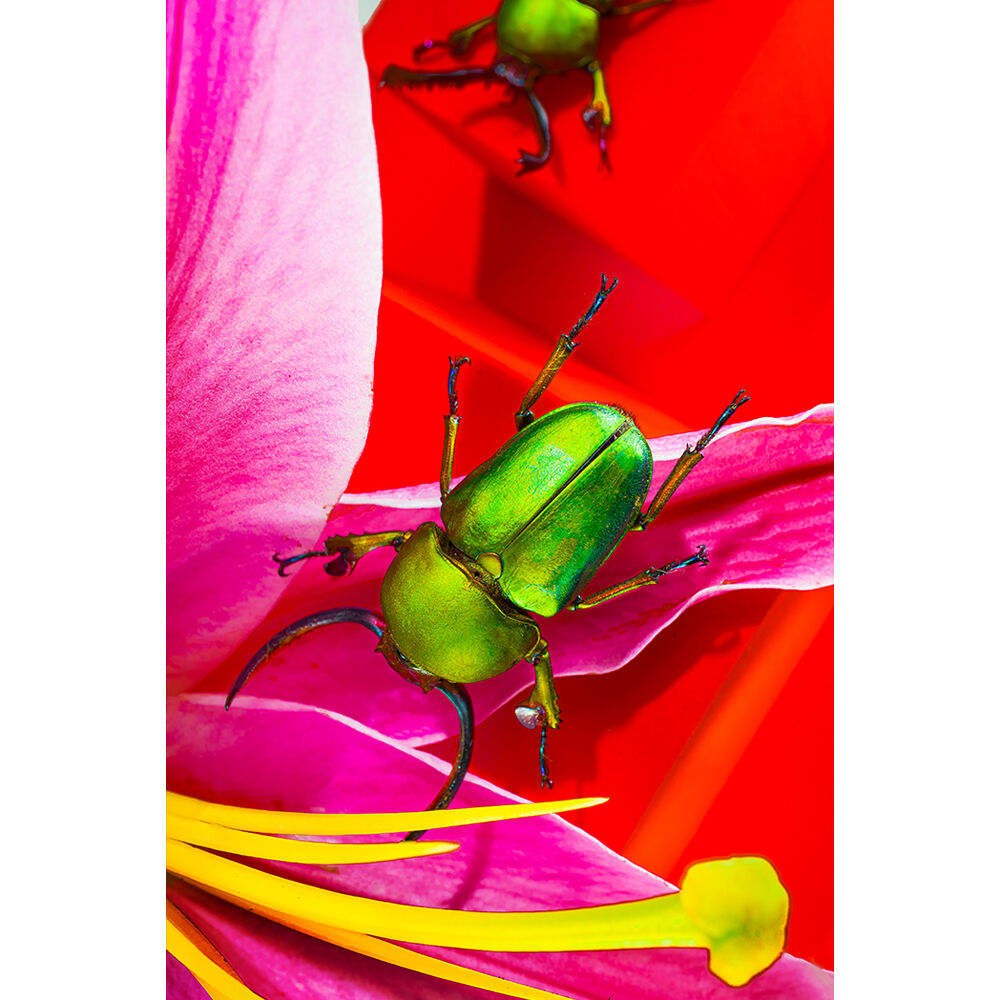 FUJIFILM X-T5 Mirrorless Camera with 16-80mm Lens (Silver) (Silver)