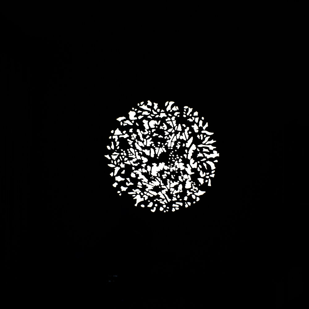 Nanlite Gobo Set 2 For Pj-Fz60-19/36 Projector Mount