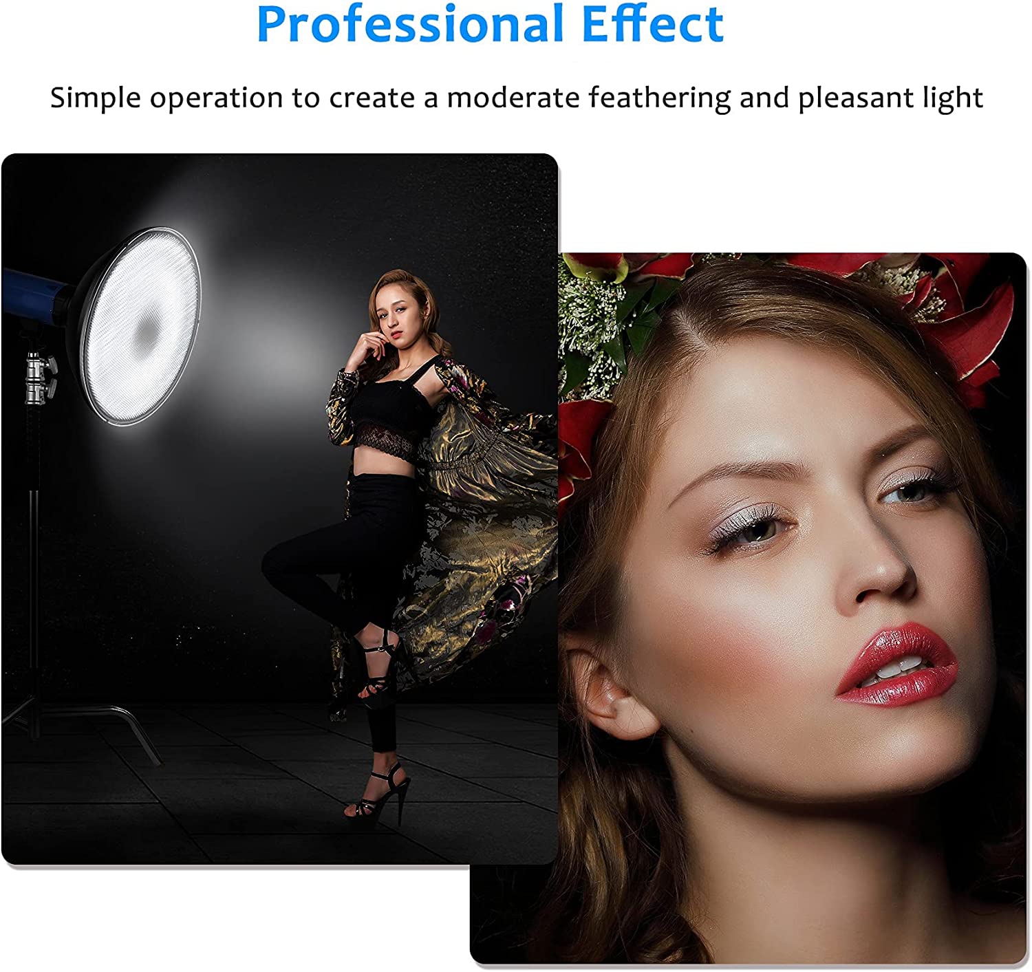 General Beauty Dish Diffuser Reflector with Grid (100)