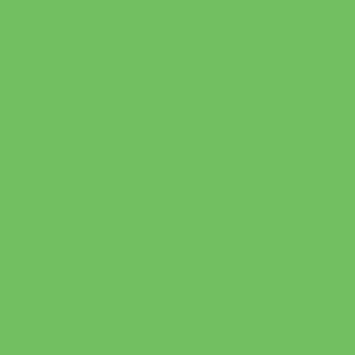 Visico Widetone Seamless Background Paper #54 (Green)