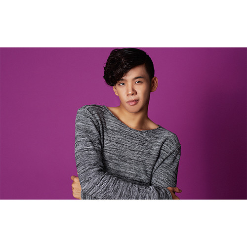 Visico Widetone Seamless Background Paper #110 (Purple)