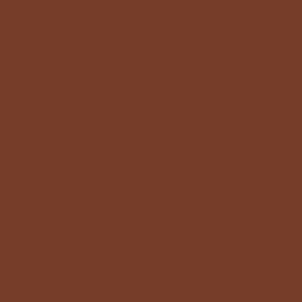 Visico Widetone Seamless Background Paper #20 (SaddleBrown)