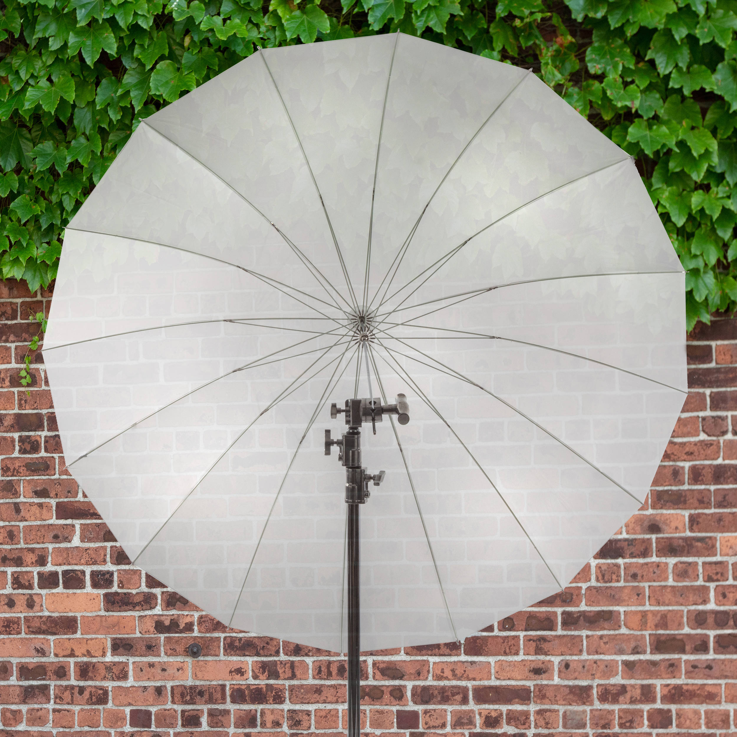 general Parabolic Umbrella  from (White)